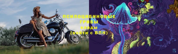 бошки Арсеньев