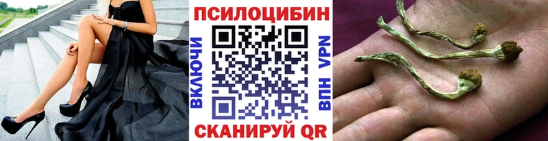 Псилоцибиновые грибы Cubensis  наркотики  Ивдель 